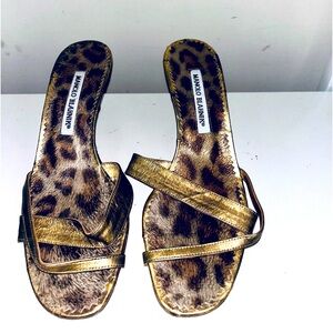Manolo Blahnik Kitten Heel
